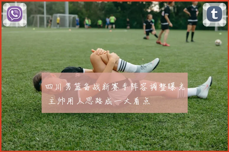 四川男篮备战新赛季阵容调整曝光 主帅用人思路成一大看点