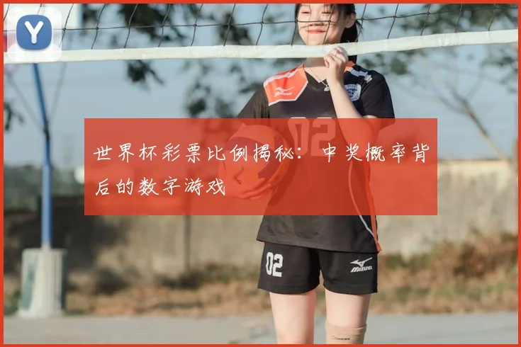 世界杯彩票比例揭秘：中奖概率背后的数字游戏