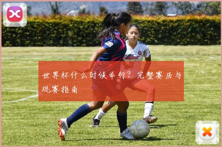 世界杯什么时候举行？完整赛历与观赛指南