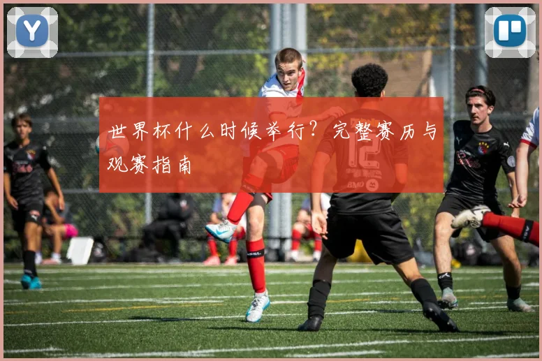 世界杯什么时候举行？完整赛历与观赛指南
