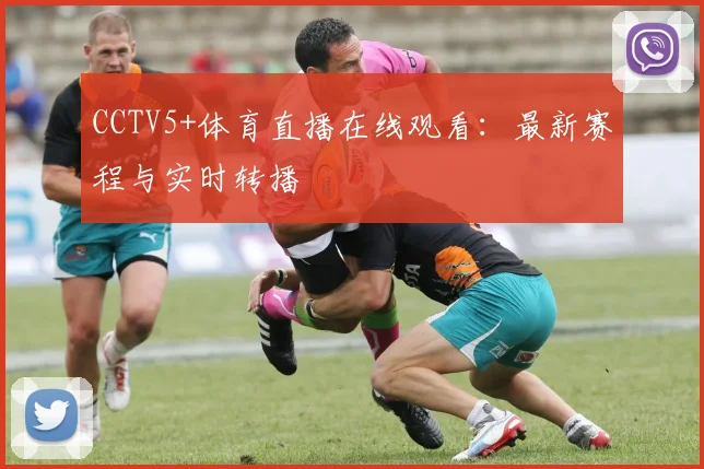 CCTV5+体育直播在线观看：最新赛程与实时转播