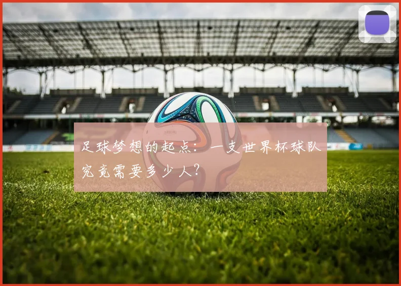 足球梦想的起点：一支世界杯球队究竟需要多少人？
