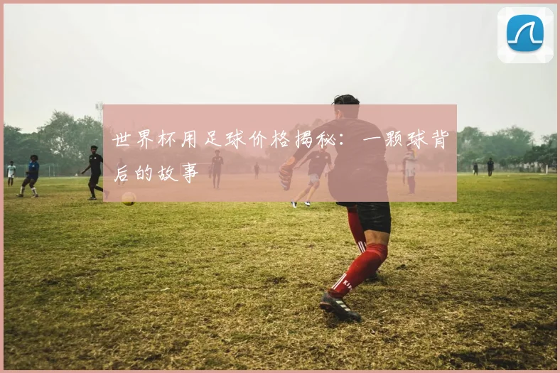 世界杯用足球价格揭秘：一颗球背后的故事